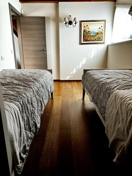 Joy Apartment Mezzegra Zewnętrze zdjęcie